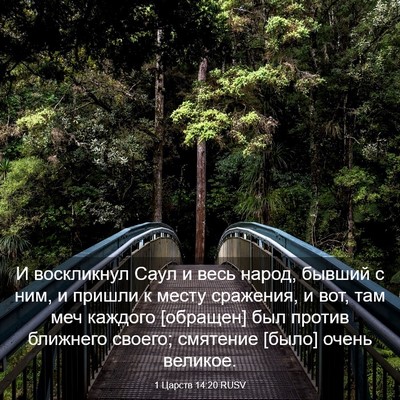 Picture 03 - 1 Царств 14:20 RUSV - И воскликнул Саул и весь - Bible Verse Picture