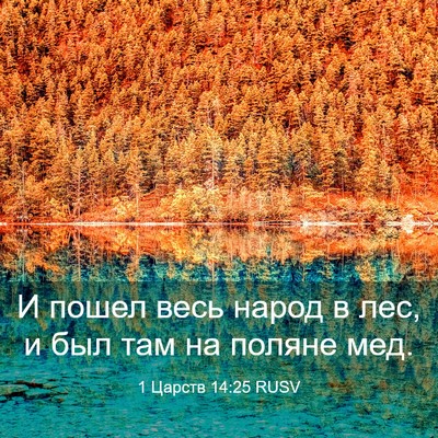 Picture 03 - 1 Царств 14:25 RUSV - И пошел весь народ в лес, и - Bible Verse Picture