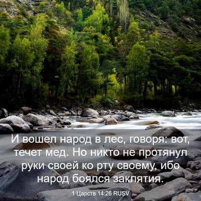 Picture 03 - 1 Царств 14:26 RUSV - И вошел народ в лес, говоря: - Bible Verse Picture