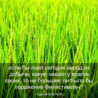 Picture 03 - 1 Царств 14:30 RUSV - если бы поел сегодня народ - Bible Verse Picture