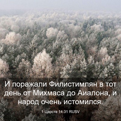 Picture 03 - 1 Царств 14:31 RUSV - И поражали Филистимлян в - Bible Verse Picture