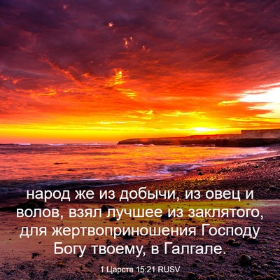 Picture 03 - 1 Царств 15:21 RUSV - народ же из добычи, из овец - Bible Verse Picture