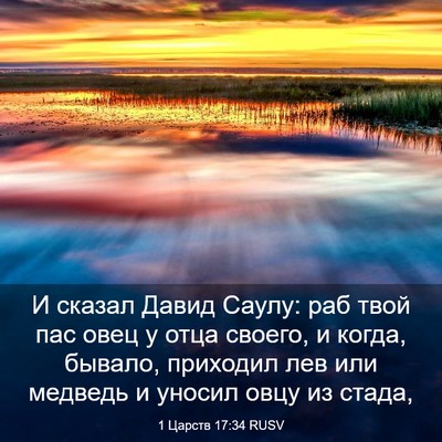 Picture 03 - 1 Царств 17:34 RUSV - И сказал Давид Саулу: раб - Bible Verse Picture