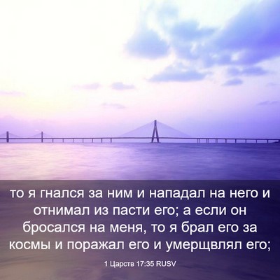 Picture 03 - 1 Царств 17:35 RUSV - то я гнался за ним и - Bible Verse Picture