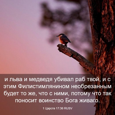 Picture 03 - 1 Царств 17:36 RUSV - и льва и медведя убивал раб - Bible Verse Picture