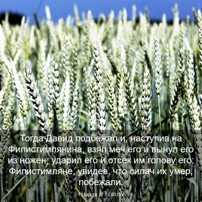 Picture 03 - 1 Царств 17:51 RUSV - Тогда Давид подбежал и, - Bible Verse Picture