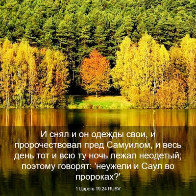 Picture 03 - 1 Царств 19:24 RUSV - И снял и он одежды свои, и - Bible Verse Picture