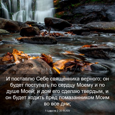 Picture 03 - 1 Царств 2:35 RUSV - И поставлю Себе священника - Bible Verse Picture