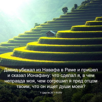 Picture 03 - 1 Царств 20:1 RUSV - Давид убежал из Навафа в - Bible Verse Picture