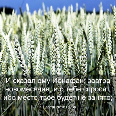 Picture 03 - 1 Царств 20:18 RUSV - И сказал ему Ионафан: - Bible Verse Picture