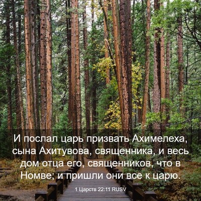 Picture 03 - 1 Царств 22:11 RUSV - И послал царь призвать - Bible Verse Picture
