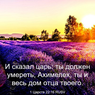 Picture 03 - 1 Царств 22:16 RUSV - И сказал царь: ты должен - Bible Verse Picture