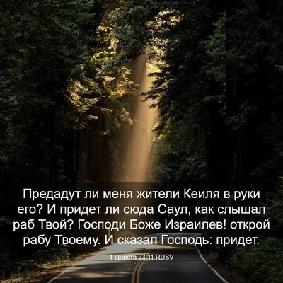 Picture 03 - 1 Царств 23:11 RUSV - Предадут ли меня жители - Bible Verse Picture