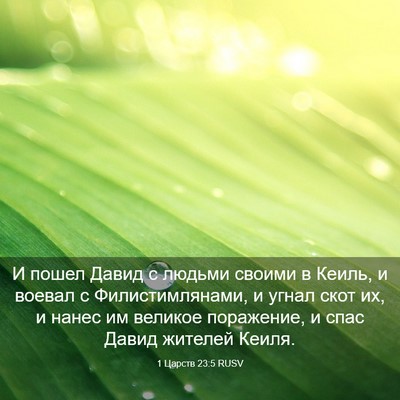 Picture 03 - 1 Царств 23:5 RUSV - И пошел Давид с людьми - Bible Verse Picture