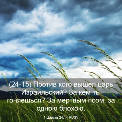 Picture 03 - 1 Царств 24:14 RUSV - (24-15) Против кого вышел царь - Bible Verse Picture