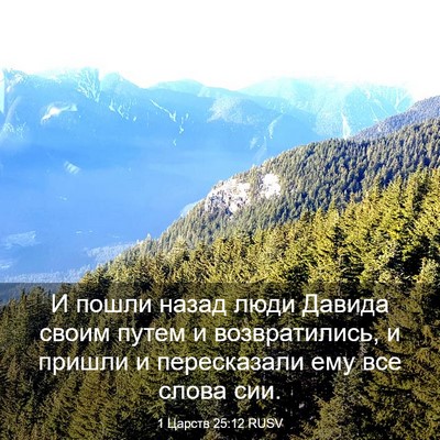 Picture 03 - 1 Царств 25:12 RUSV - И пошли назад люди Давида - Bible Verse Picture