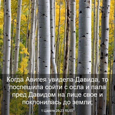 Picture 03 - 1 Царств 25:23 RUSV - Когда Авигея увидела - Bible Verse Picture