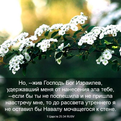 Picture 03 - 1 Царств 25:34 RUSV - Но, --жив Господь Бог - Bible Verse Picture