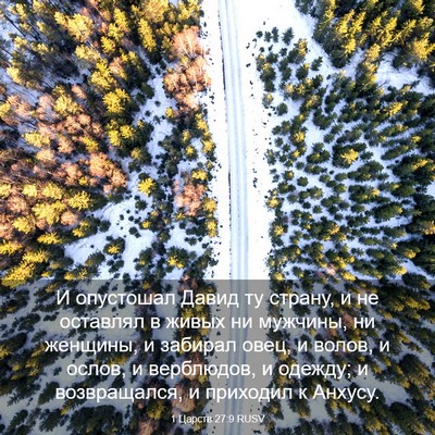Picture 03 - 1 Царств 27:9 RUSV - И опустошал Давид ту - Bible Verse Picture