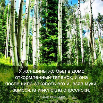 Picture 03 - 1 Царств 28:24 RUSV - У женщины же был в доме - Bible Verse Picture