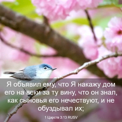 Picture 03 - 1 Царств 3:13 RUSV - Я объявил ему, что Я накажу - Bible Verse Picture