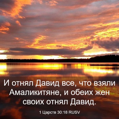 Picture 03 - 1 Царств 30:18 RUSV - И отнял Давид все, что - Bible Verse Picture