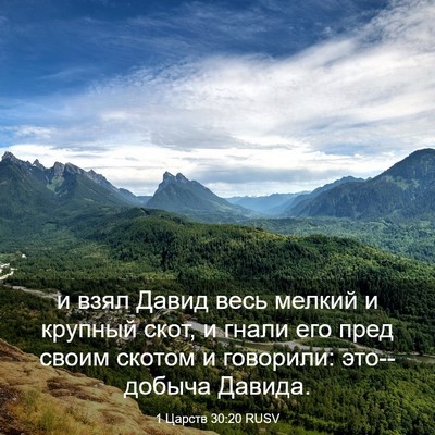 Picture 03 - 1 Царств 30:20 RUSV - и взял Давид весь мелкий и - Bible Verse Picture