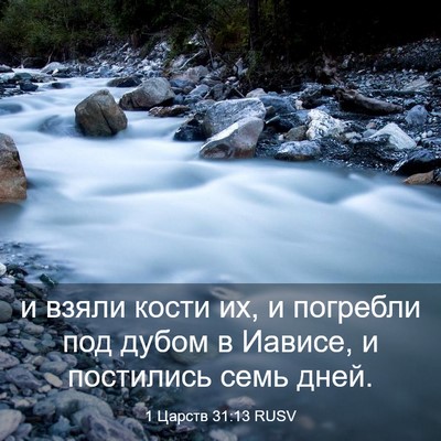 Picture 03 - 1 Царств 31:13 RUSV - и взяли кости их, и - Bible Verse Picture
