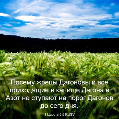 Picture 03 - 1 Царств 5:5 RUSV - Посему жрецы Дагоновы и - Bible Verse Picture