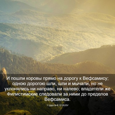 Picture 03 - 1 Царств 6:12 RUSV - И пошли коровы прямо на - Bible Verse Picture