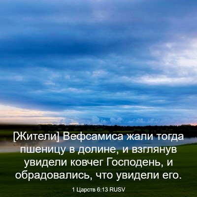 Picture 03 - 1 Царств 6:13 RUSV - [Жители] Вефсамиса жали - Bible Verse Picture