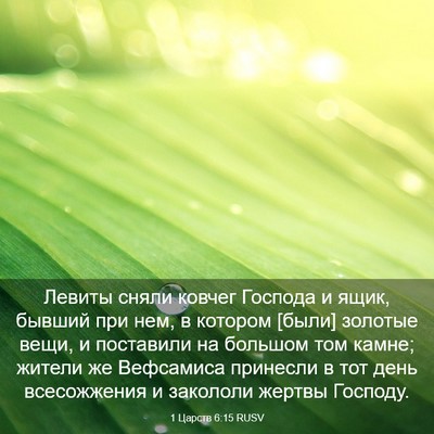 Picture 03 - 1 Царств 6:15 RUSV - Левиты сняли ковчег - Bible Verse Picture