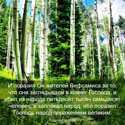 Picture 03 - 1 Царств 6:19 RUSV - И поразил Он жителей - Bible Verse Picture
