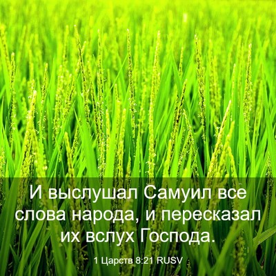 Picture 03 - 1 Царств 8:21 RUSV - И выслушал Самуил все - Bible Verse Picture