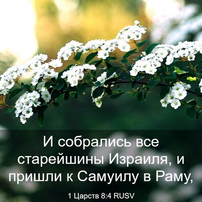 Picture 03 - 1 Царств 8:4 RUSV - И собрались все старейшины - Bible Verse Picture