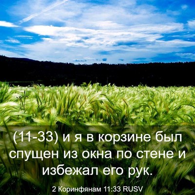 Picture 03 - 2 Коринфянам 11:33 RUSV - (11-33) и я в корзине был - Bible Verse Picture