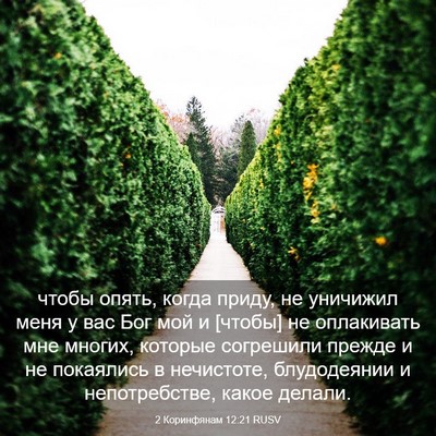 Picture 03 - 2 Коринфянам 12:21 RUSV - чтобы опять, когда приду, - Bible Verse Picture