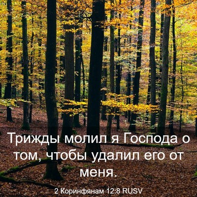 Picture 03 - 2 Коринфянам 12:8 RUSV - Трижды молил я Господа о - Bible Verse Picture