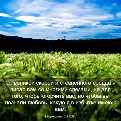 Picture 03 - 2 Коринфянам 2:4 RUSV - От великой скорби и - Bible Verse Picture
