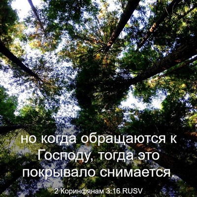 Picture 03 - 2 Коринфянам 3:16 RUSV - но когда обращаются к - Bible Verse Picture