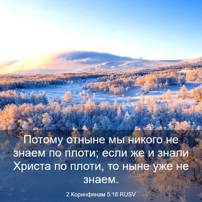 Picture 03 - 2 Коринфянам 5:16 RUSV - Потому отныне мы никого не - Bible Verse Picture