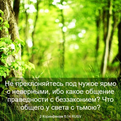 Picture 03 - 2 Коринфянам 6:14 RUSV - Не преклоняйтесь под чужое - Bible Verse Picture