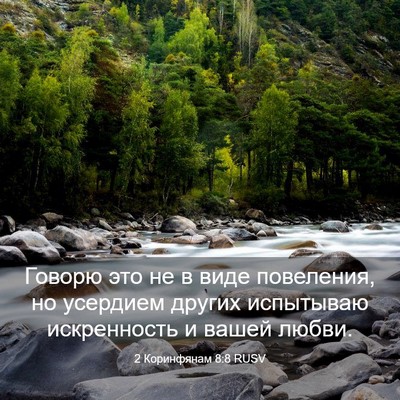 Picture 03 - 2 Коринфянам 8:8 RUSV - Говорю это не в виде - Bible Verse Picture