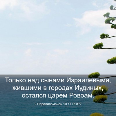 Picture 03 - 2 Паралипоменон 10:17 RUSV - Только над сынами - Bible Verse Picture