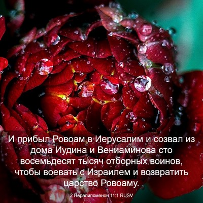 Picture 03 - 2 Паралипоменон 11:1 RUSV - И прибыл Ровоам в - Bible Verse Picture