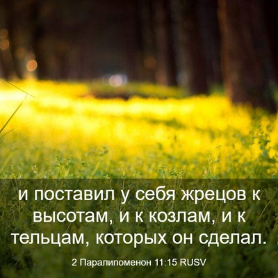 Picture 03 - 2 Паралипоменон 11:15 RUSV - и поставил у себя жрецов к - Bible Verse Picture