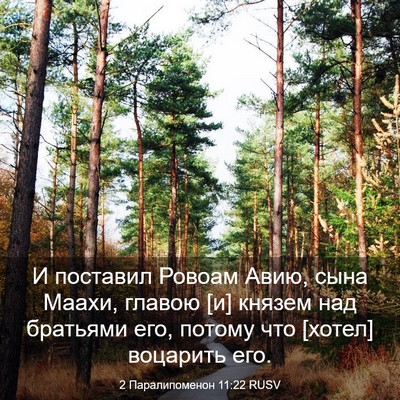 Picture 03 - 2 Паралипоменон 11:22 RUSV - И поставил Ровоам Авию, - Bible Verse Picture