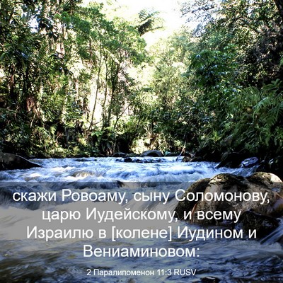 Picture 03 - 2 Паралипоменон 11:3 RUSV - скажи Ровоаму, сыну - Bible Verse Picture