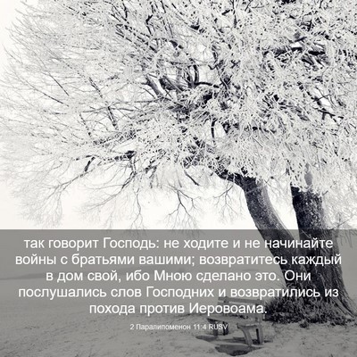 Picture 03 - 2 Паралипоменон 11:4 RUSV - так говорит Господь: не - Bible Verse Picture
