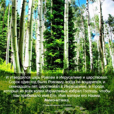 Picture 03 - 2 Паралипоменон 12:13 RUSV - И утвердился царь Ровоам в - Bible Verse Picture